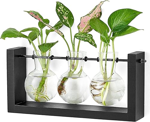 Mkono Terrario de plantas con soporte de madera, maceta de vidrio para colgar en la pared, jarrón de propagación de plantas de escritorio con Mkono Terrario de plantas con soporte de madera, maceta de vidrio para colgar en la pared, jarrón de propagación de plantas de escritorio con