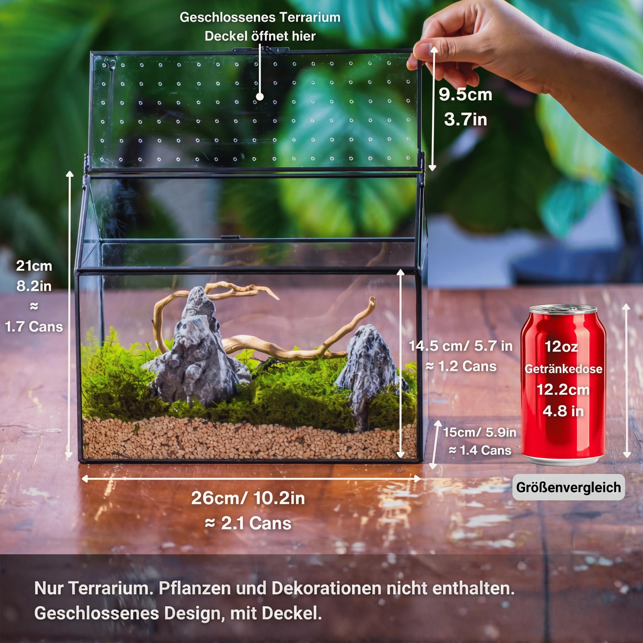 NCYP Glas-Terrarium in Hausform mit Acryl-Deckel, 26 x 15 x 21 cm, große geometrische Box für Schnecken, Farne, Sukkulenten, Luftpflanzen, Tischdekoration, handgefertigt (nur Terrarium)