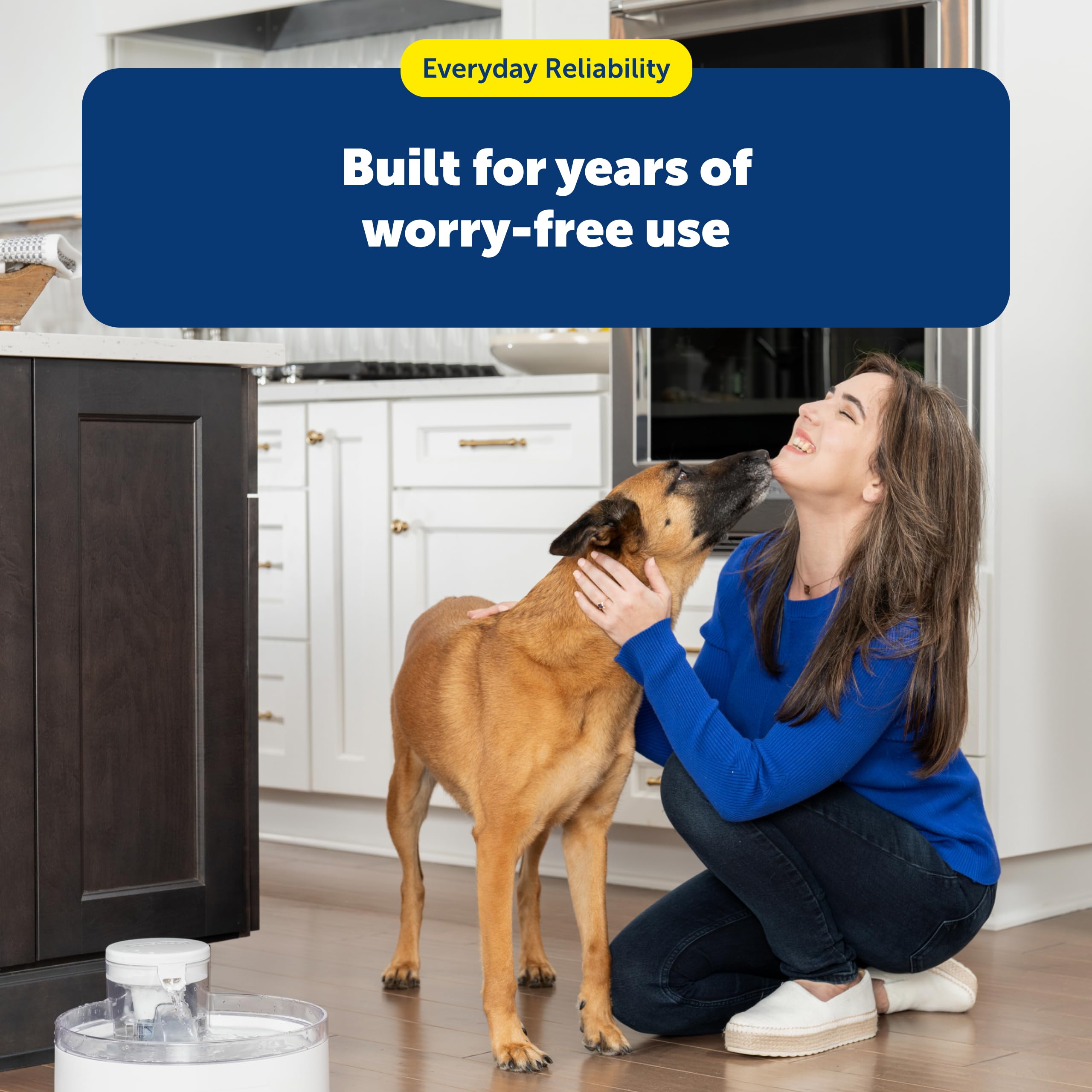 PetSafe Outlast - Fontana per cani e animali domestici, 3,6 l, lavabile in lavastoviglie, facile da montare e pulire, filtro dell'acqua incluso
