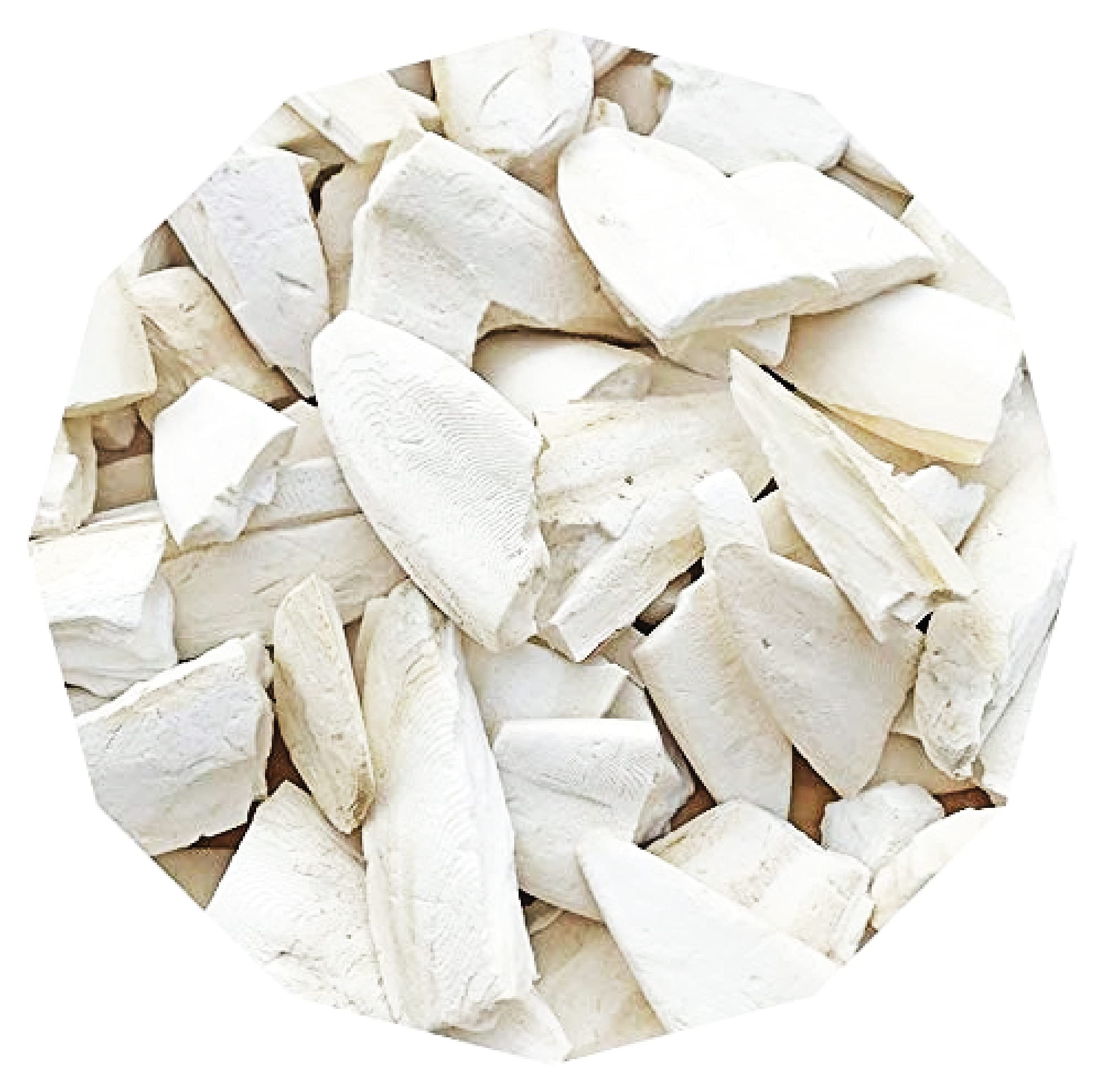 Pets Premium Cuttlefish Bone Broken Pieces, Bird Calcium for All Birds, 400 g (B09GRZLFQV) Amazon Price History, Amazon Price Tracker