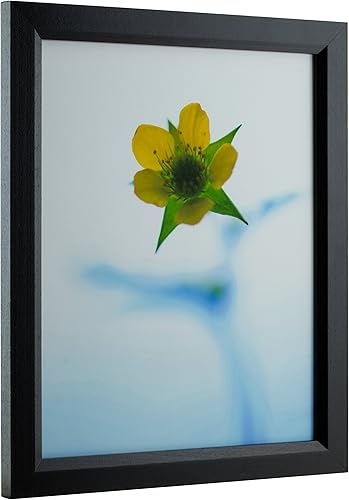 Miniatura 4 de Craig Frames Marco para póster de 24 x 36 pulgadas, Negro, Serie Economy, moldura de madera maciza de 0.825 pulgadas de ancho, plexiglás y respaldo