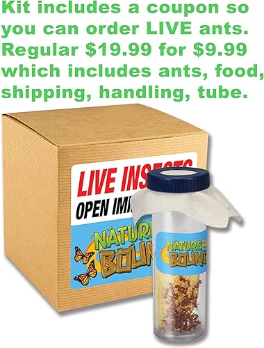 Miniatura 3 de Nature Bound Toys Ant Treehouse Habitat Kit con arena, tubo conector, palo de alimentación e instrucciones para insectos