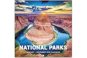 2024 Wall Calendar - Track Your Appointments with Style