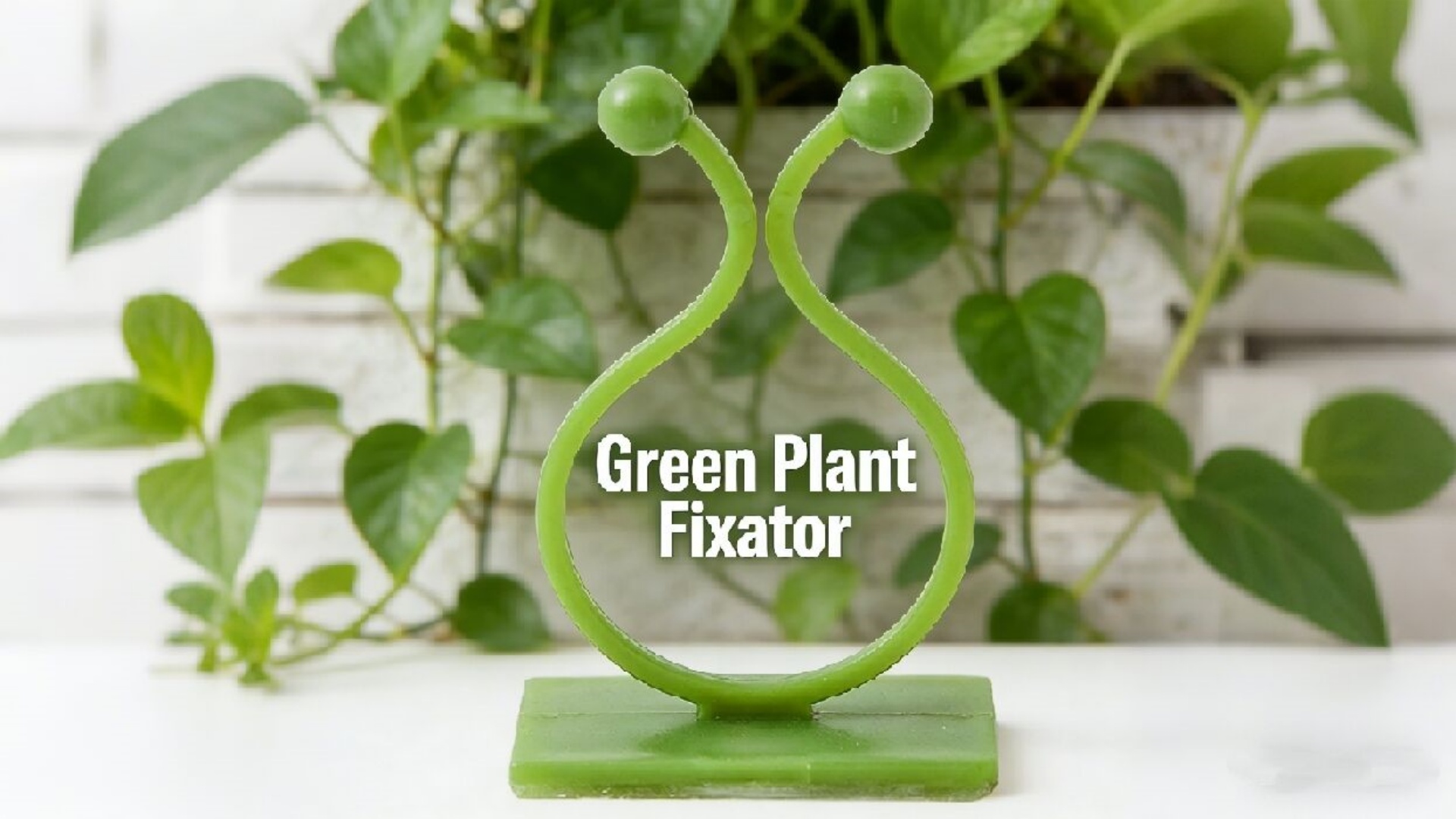 Feuilles de feuilles - Attache murale auto adhésive, 10 pièces, Clip de fixation pour plante