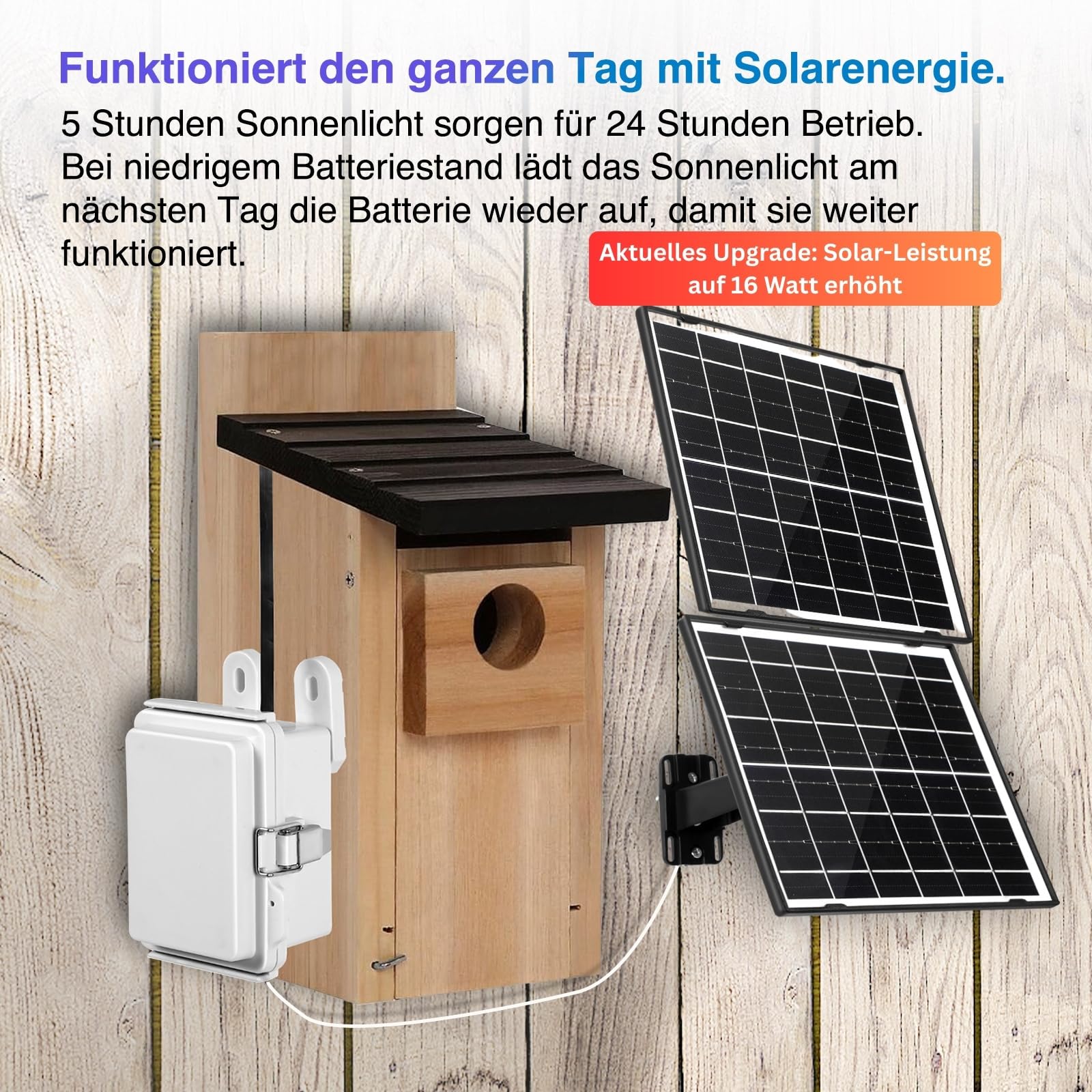WIWACAM Nistkastenkamera WLAN Kamera 16W Solar 10000mAh Akku für Nistkästen