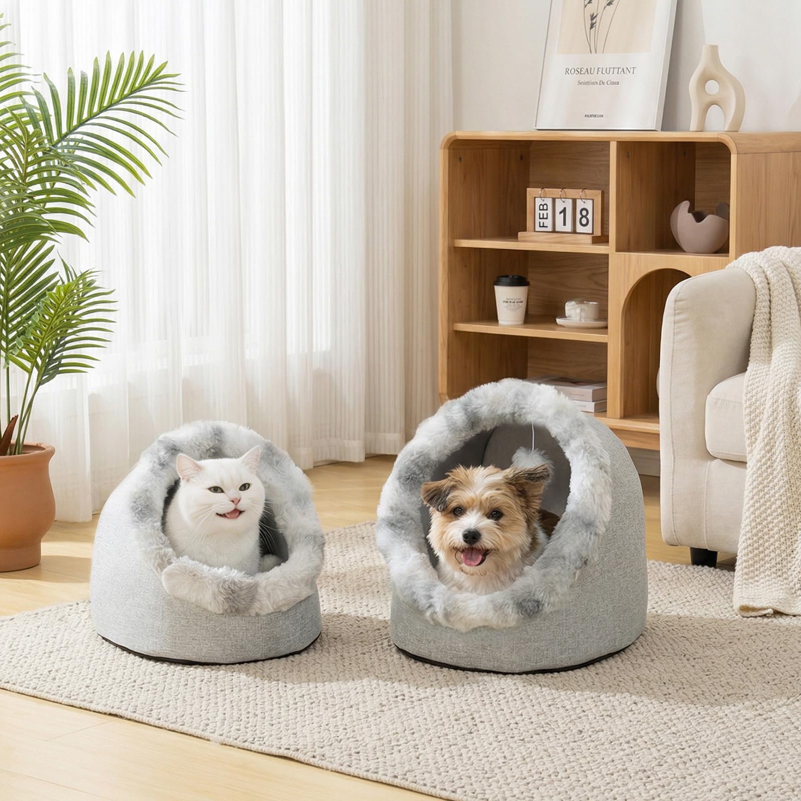 Avont Cuccia per gatti da interni, cuccia per animali domestici con fondo antiscivolo e cuscino rimovibile, lavabile, per gattini e animali di piccola taglia, grigio (M)