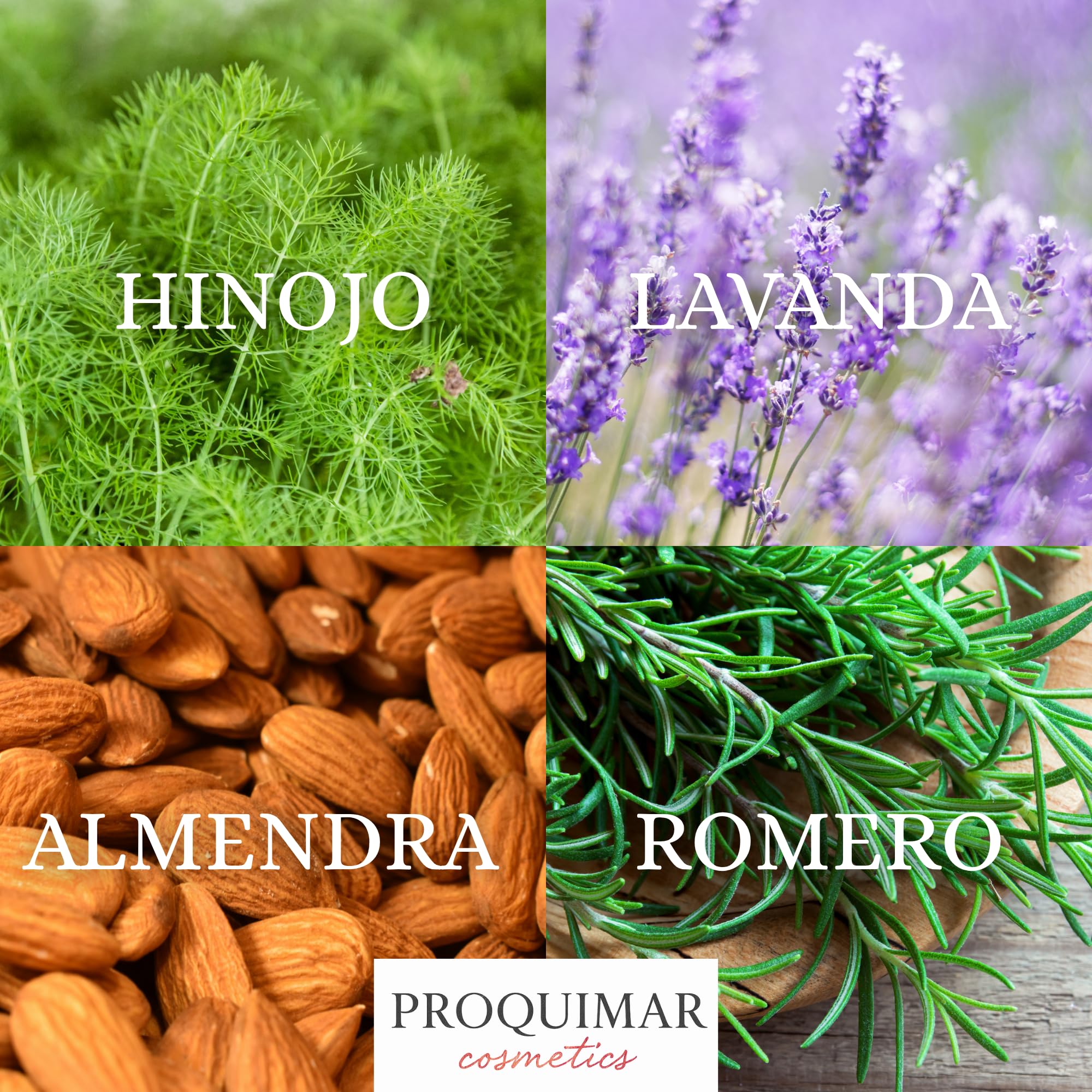 Aceite de Masaje con Romero, Almendra, Lavanda e Hinojo 5L Pack de 2 Unidades – Relajante, Revitalizante y Aromático – Textura Suave, Hidratante y Profesional