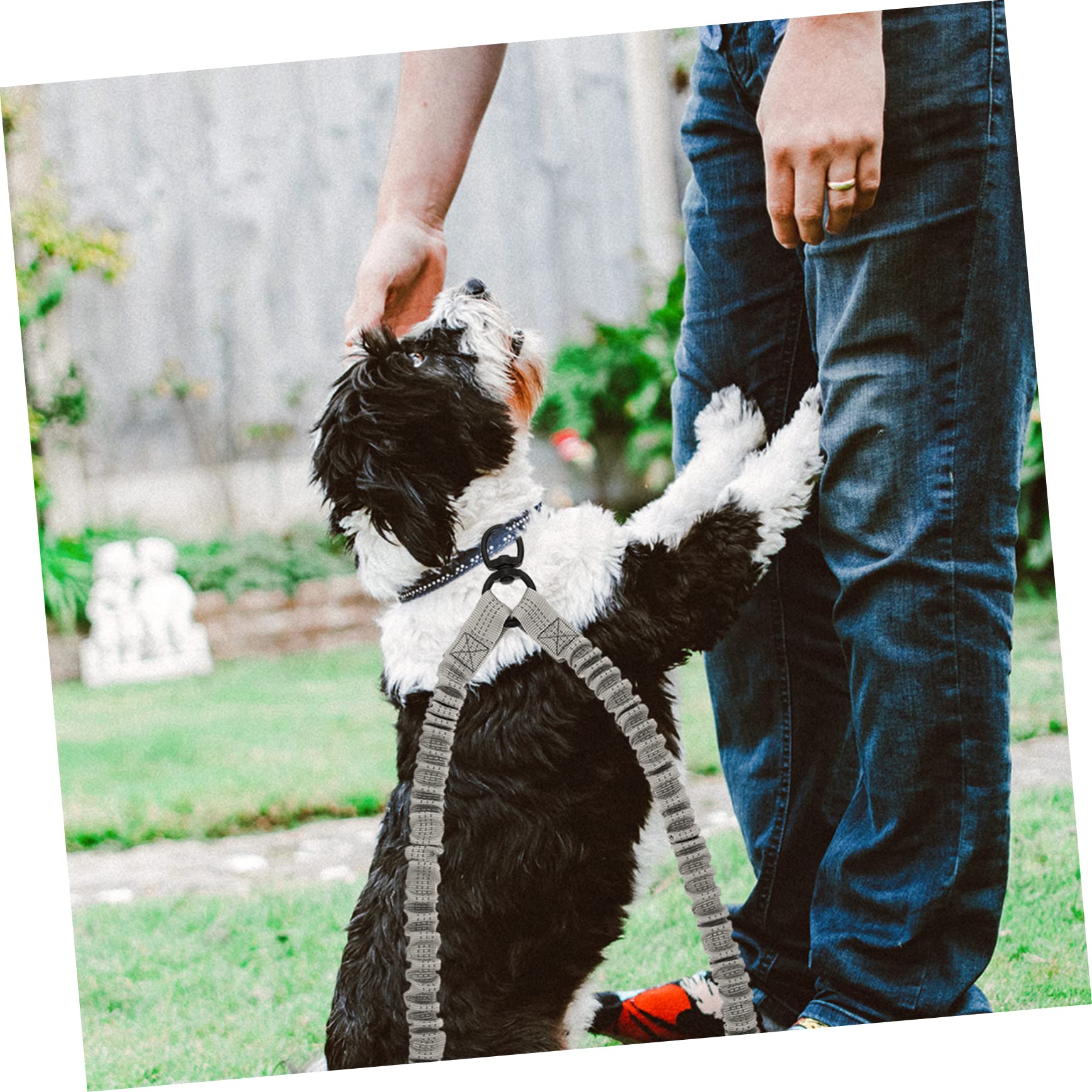 Garneck Reflective Double Headed Elastic Pet Leash for Outdoor Use Strong Puppy Leash with One Hand Control for Walking and Dogs