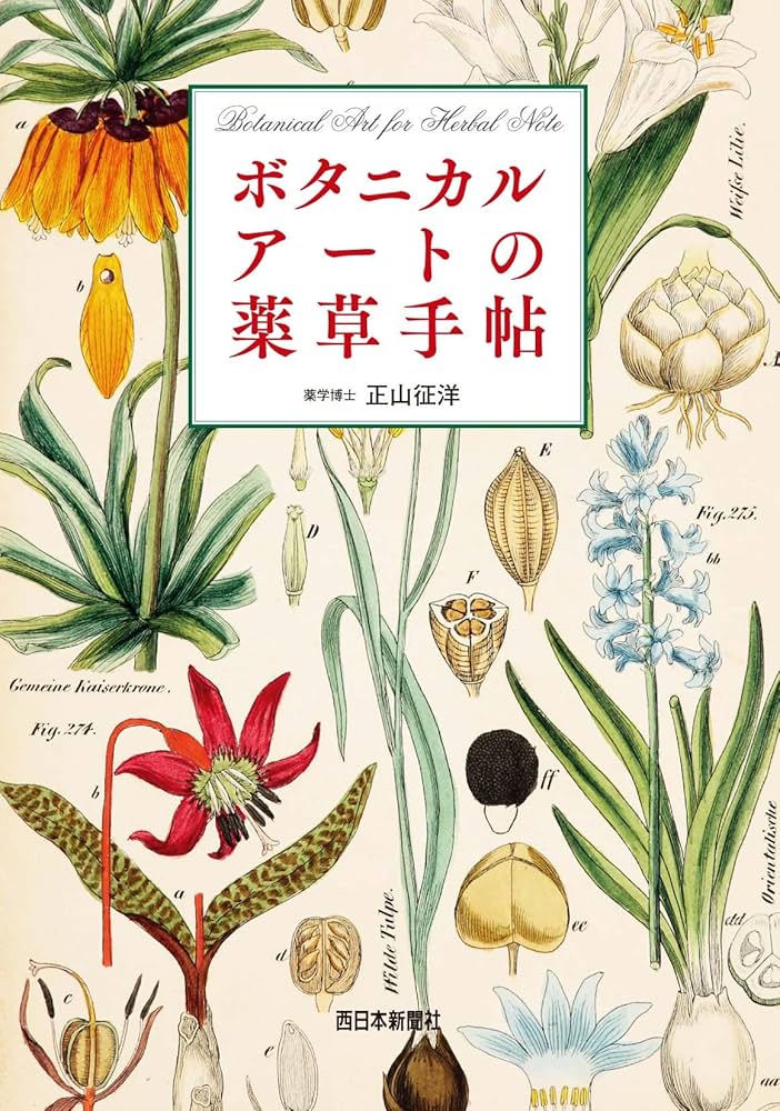 漢方　薬用植物読本　古雑誌 漢方 薬用植物読本 古雑誌 漢方・中医学用語説明（生薬）中薬一覧