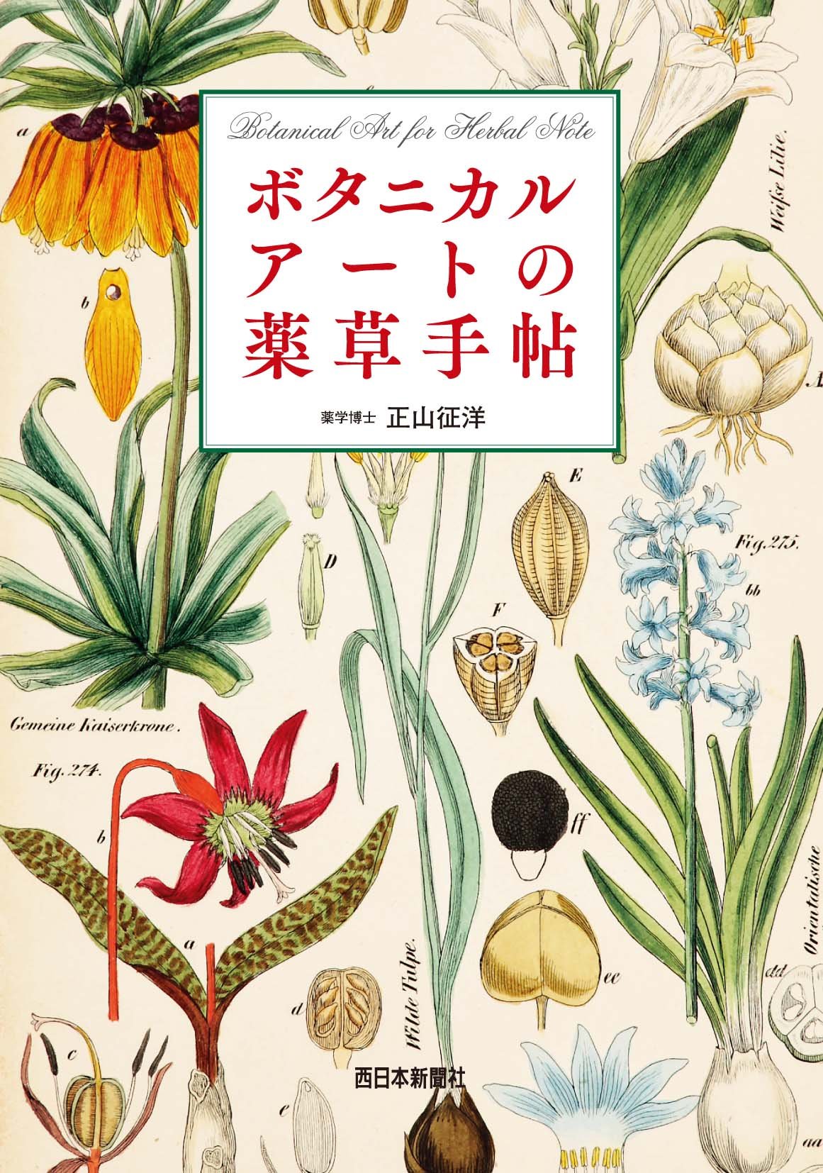 ボタニカルアートの薬草手帖 正山 征洋 本 通販 Amazon