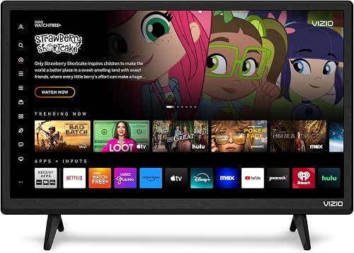 VIZIO 24-inch D-Series Full HD 1080p Smart TV with Apple