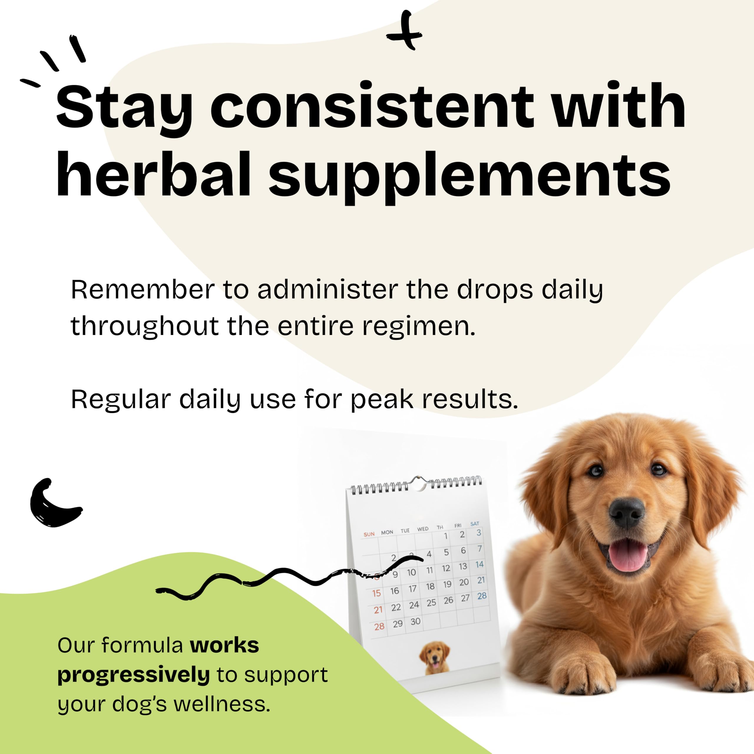 Forever Puppy Vision Supplements - Bilberry & Eyebright Drops for Dogs 2 oz — Amazon image 6