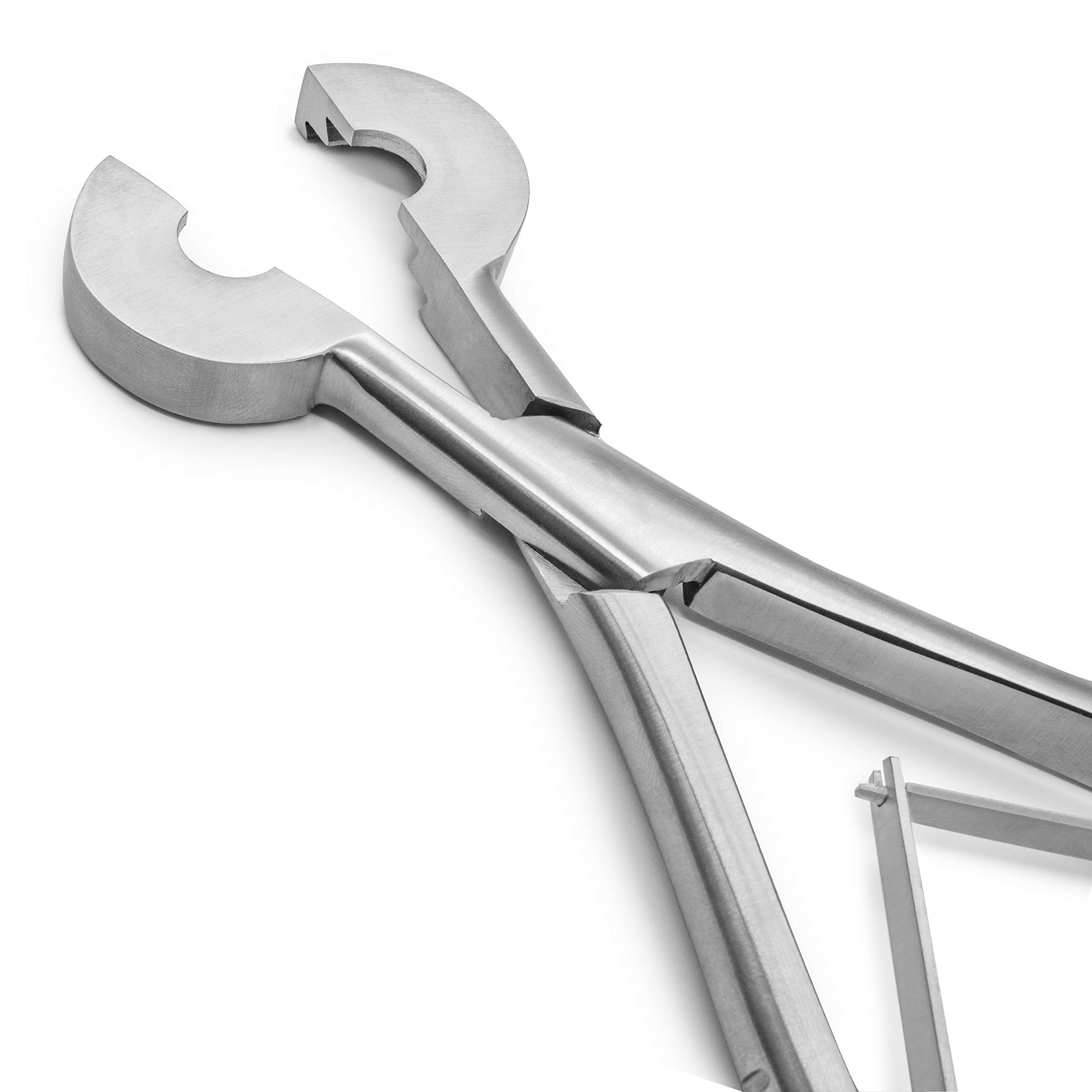 AIESI® Pinza Apriflebo professionale in acciaio inox 20 cm, Garanzia Italia 10 anni