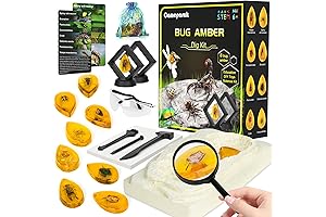 Bigger Amber Dig Kit - 8 Different Artificial Resin Dead Bugs!