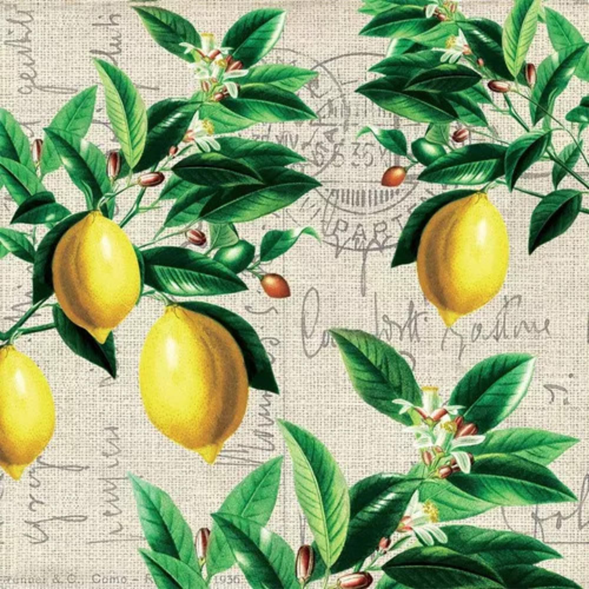 Set of 2 Individual Decoupage Paper Party Napkin Lemon Branches Script Watercolor Decor Luncheon Napkins for a Birthday Holiday, Wedding, Cocktail Party