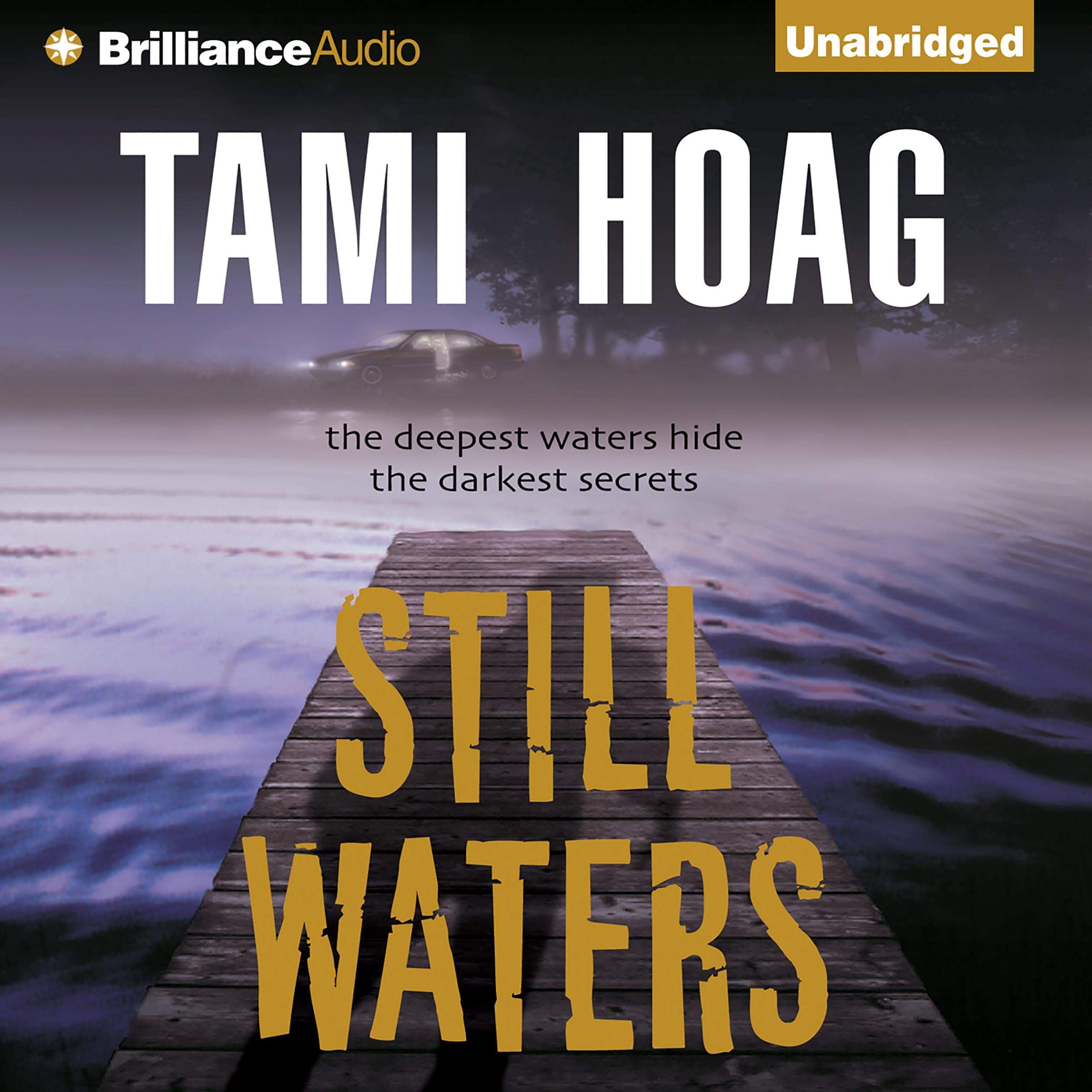Cover art for Still Waters