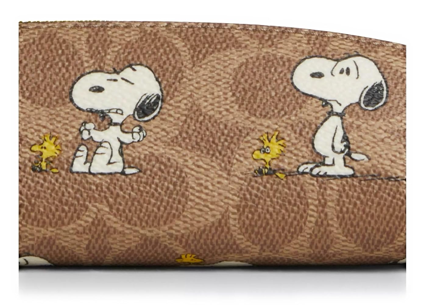 Amazon.com: COACH Womens Pencil Case In Signature Canvas