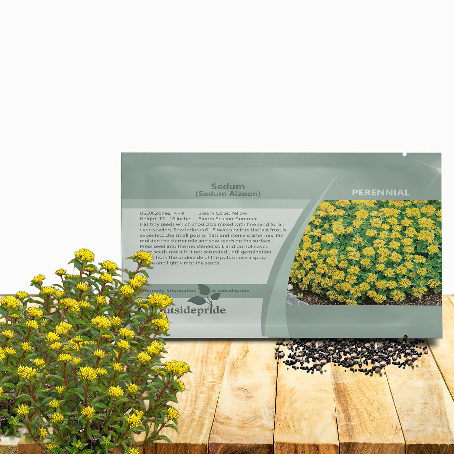 Outsidepride Aizoon Sedum Seeds - 1000 Pcs Perennial Ground Cover Seeds for Planting, Cold-Hardy & Heat-Tolerant Succulent Plants, Ideal for Rock Gardens, Containers, and Xeriscaping