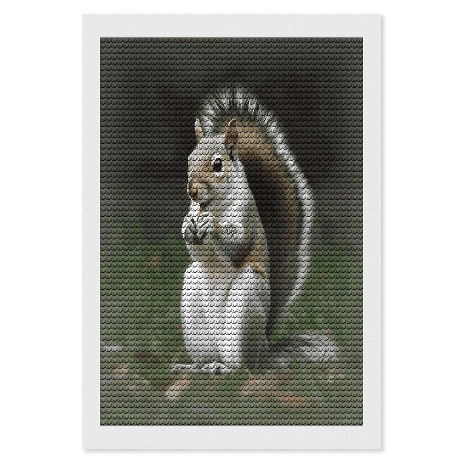 LDGSUPH Squirrel Diamond Painting Kits for Adults Paint with Diamond Pictures Art DIY Full Drill Diamond Dots Painting Personalized Diamond Photo for Home Wall Decor Gift 8"x12"