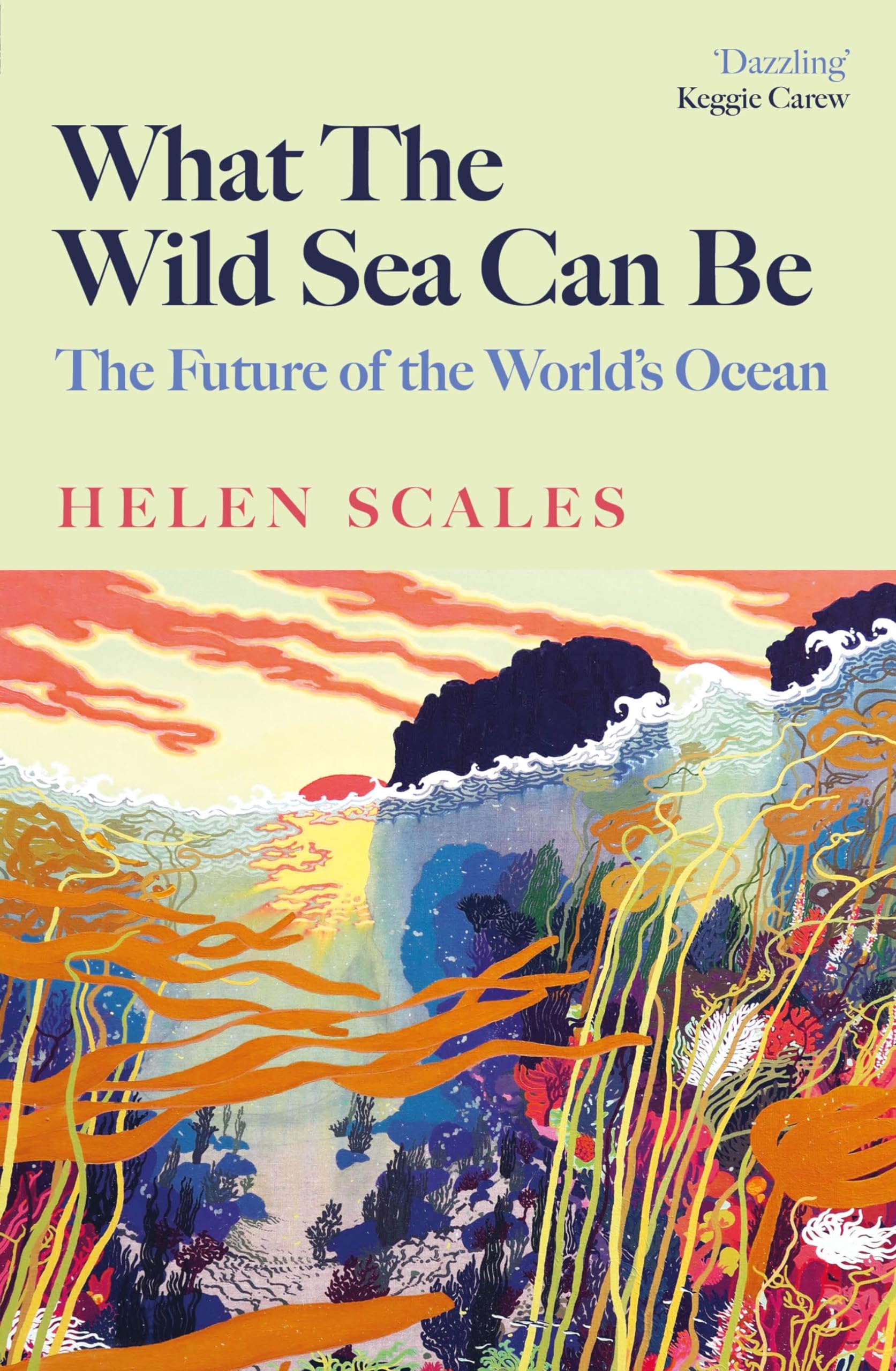 What the Wild Sea Can Be: Shortlisted for the Women's Prize for Nonfiction