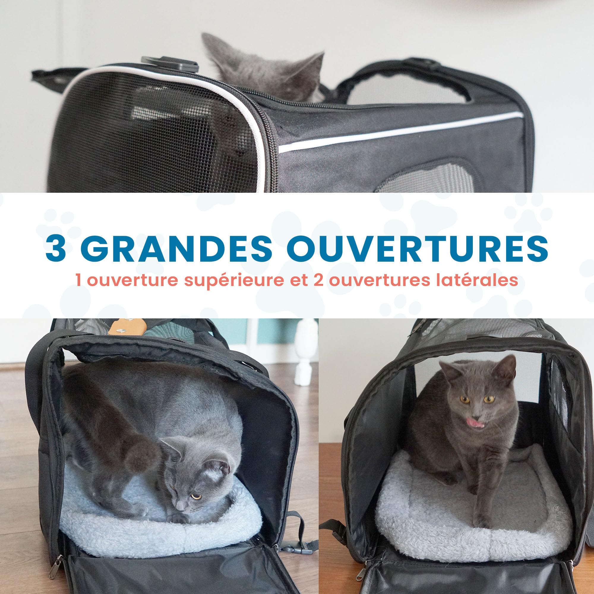 Sac de Transport pour Chats et Petits Chiens – Sac de Voyage léger et Respirant avec côtés en Maille, Cadre renforcé, Tapis Amovible et bandoulière pour Un Transport sécurisé des Animaux de