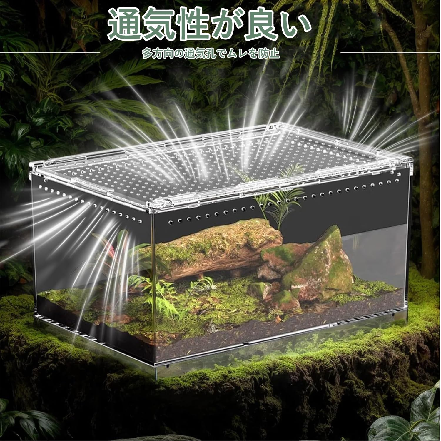 トカゲリウム　イモリウム　ポ 多種共存のイモリウムを放置する - YouTube