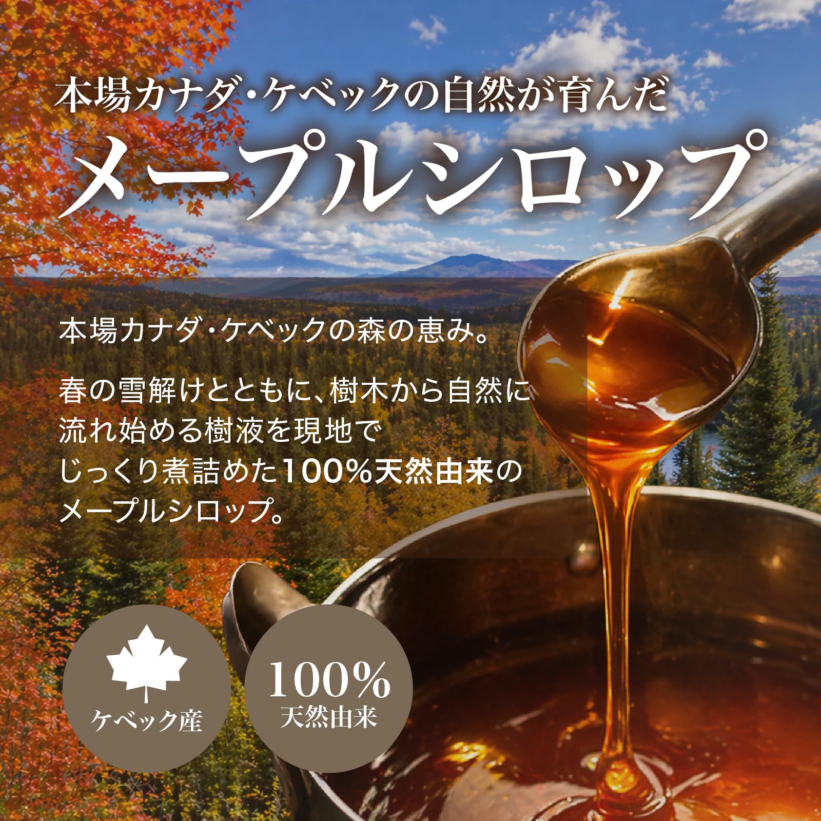Amazon.co.jp: モンファボリ ピュア メープルシロップ 330g カナダ産