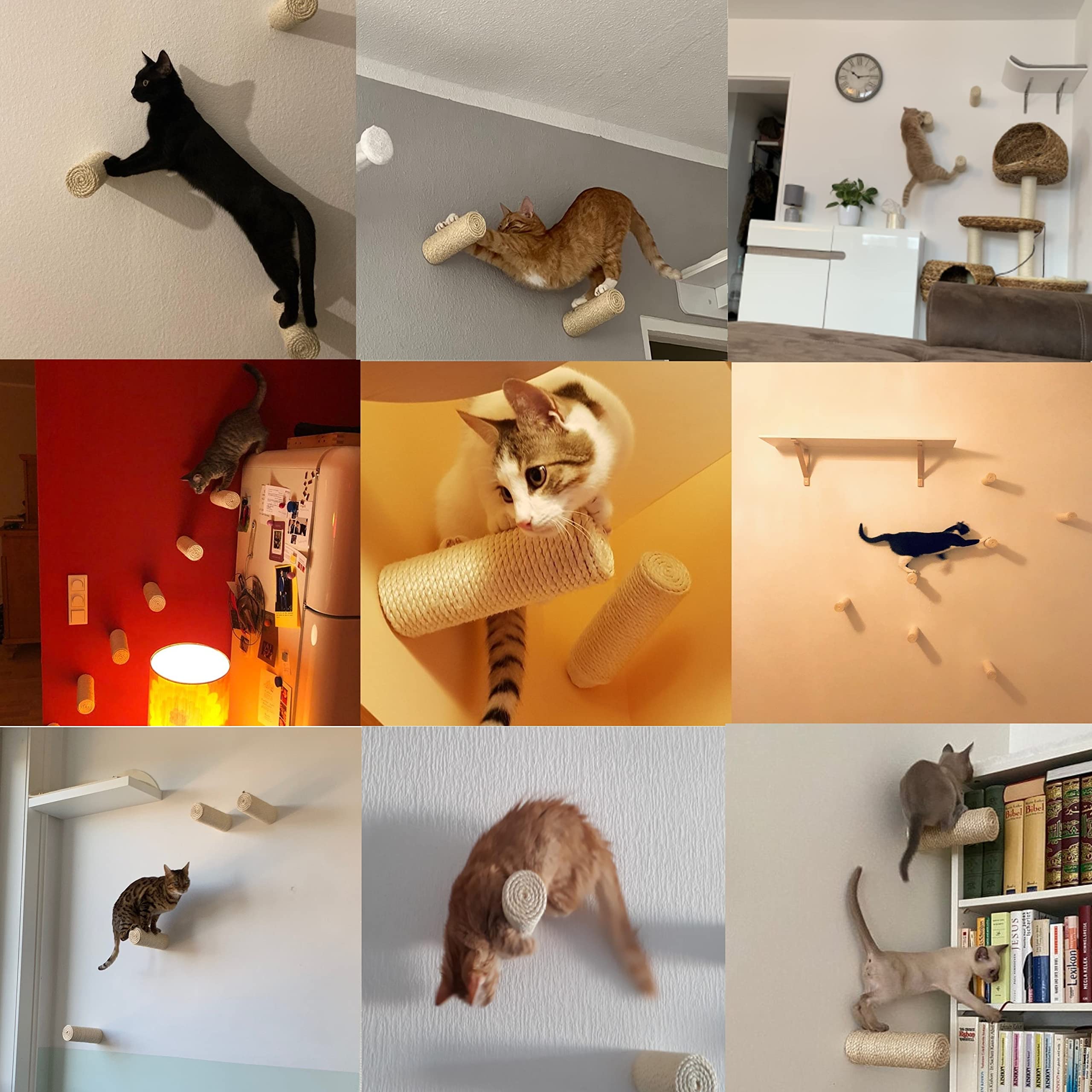 CapriCorner Kletter Wand Stufe für Katzen, 20 x 7 cm Katzenwand Katzentreppe Catwalk (3 Stück)