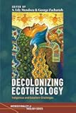 Decolonizing Ecotheology: Indigenous and Subaltern Challenges (Intersectionality and Theology Series)