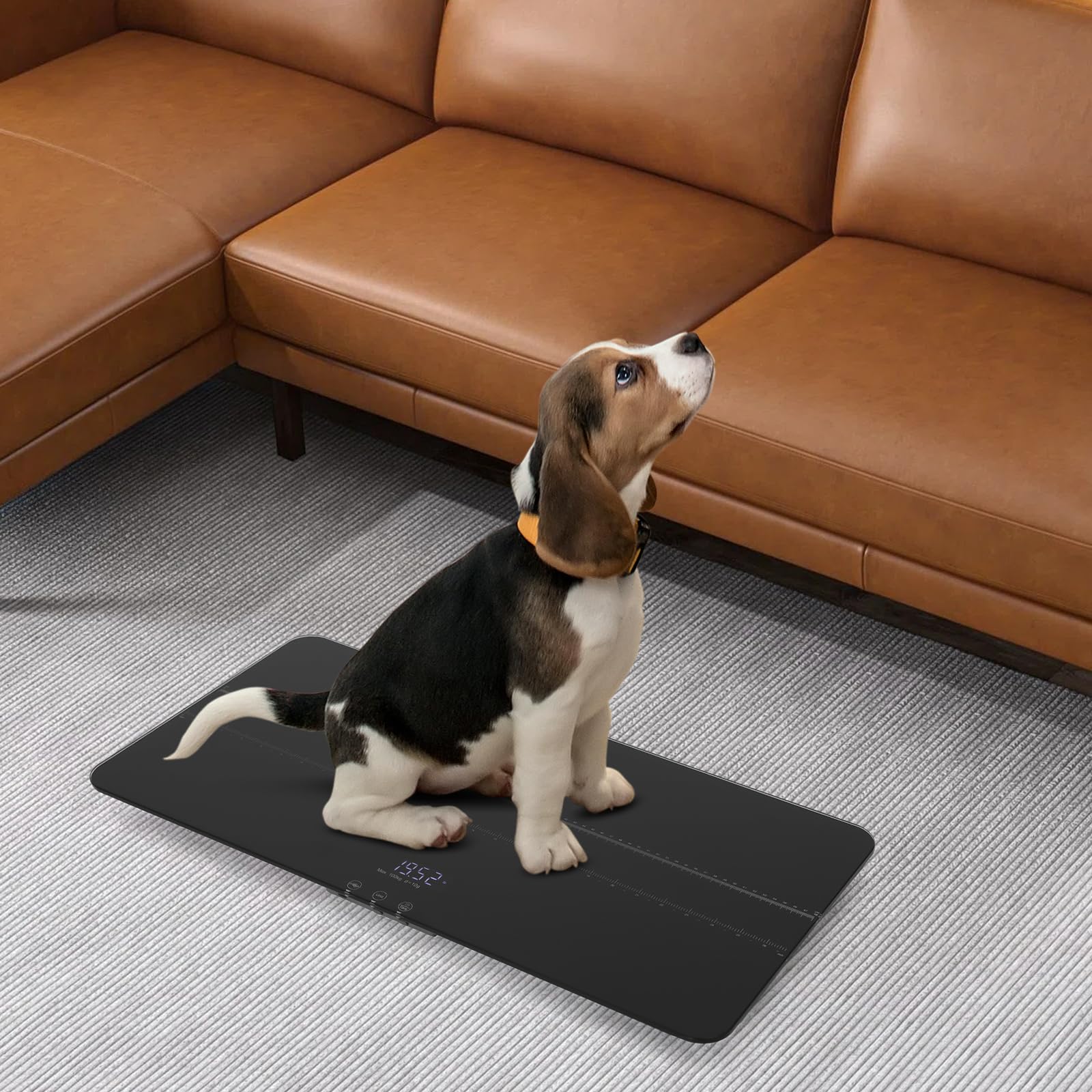 Báscula digital para mascotas – Báscula para perros grandes y gatos de hasta 100 kg, precisión de 10 g – Báscula de peso para mascotas con 3 modos de pesaje (kg lb oz), carga USB, función de sujeción