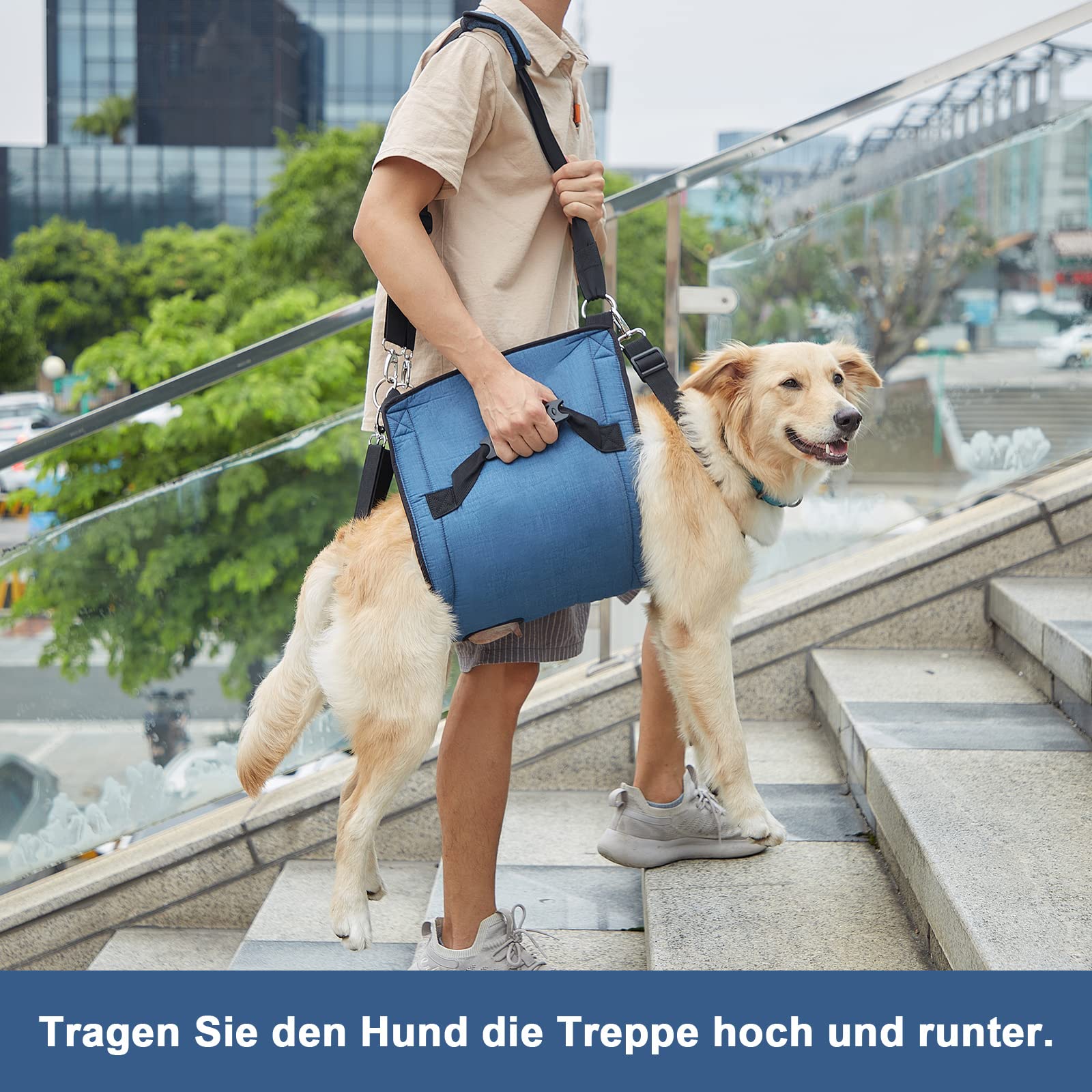 COODEO Hundetragegurt, Notfallrucksack Unterstützung für Rehabilitation Hundelift Geschirr, Hundeträger für ältere Hunde Gelenkverletzungen, Arthritis, Treppe hinauf (XL, Blau)