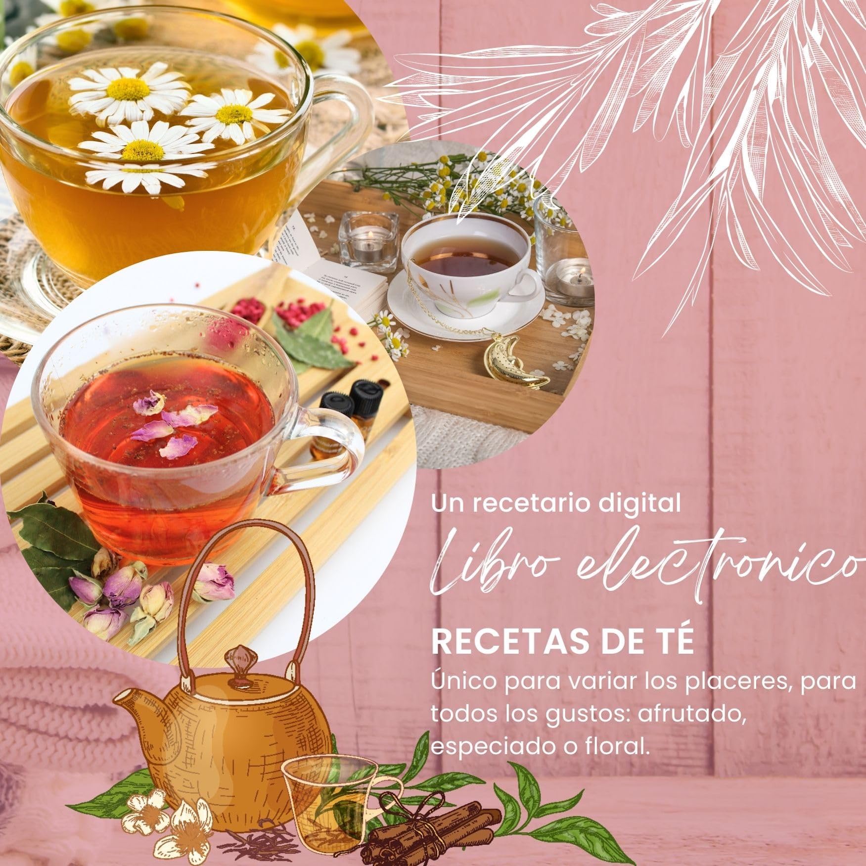 L&G® - Kit té preparación y degustación - Honeybush, Rooibos, Sancha Green, Maté - Infusores incluidos - Set de té DIY - Regalar Navidad, cumpleaños - Made in France - Ingredientes de calidad