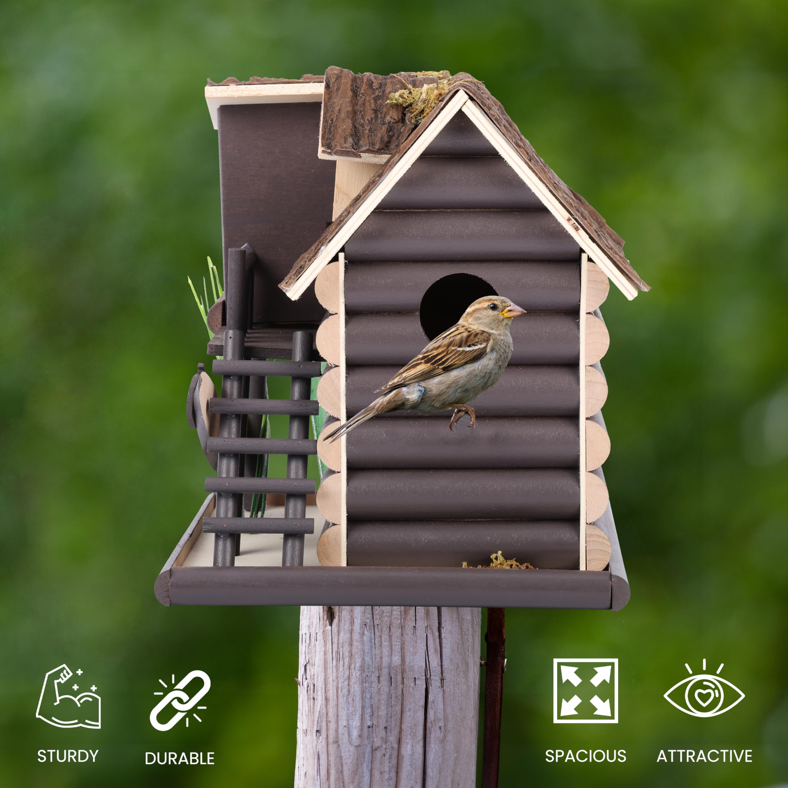 Sitemapcdatahttpsmodeinf Inetcomartisanal Nichoir Oiseaux Original
