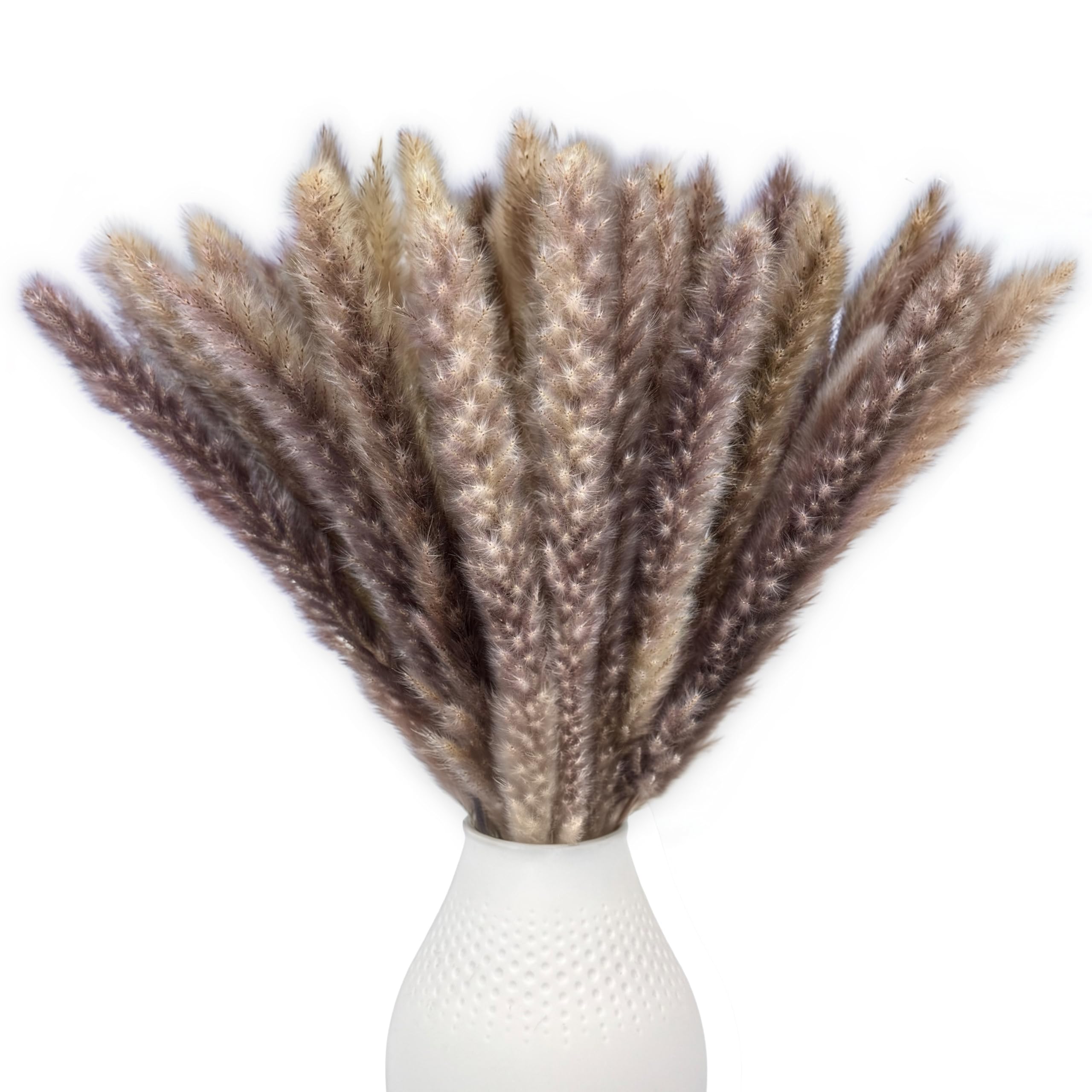 Hierba de Las Pampas Marrón - 15 Piezas de 45 cm, Flores secas Decorativas para salón y Pasillo, Ramo Boho de Hierbas, Flores Artificiales de Hierba de Las Pampas para jarrón