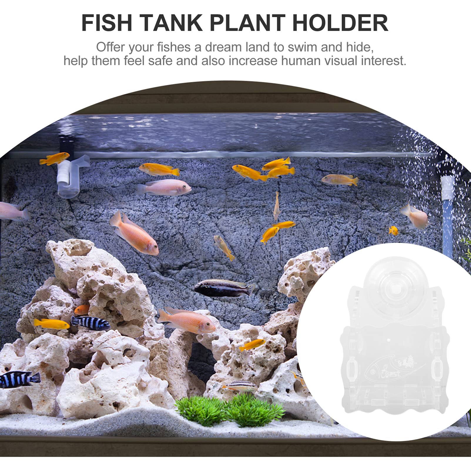 TEHAUX Aquarium Planter Acrylic Aquatic Planting Cup with Suction Cups Easy to Install Fish Tank Decor