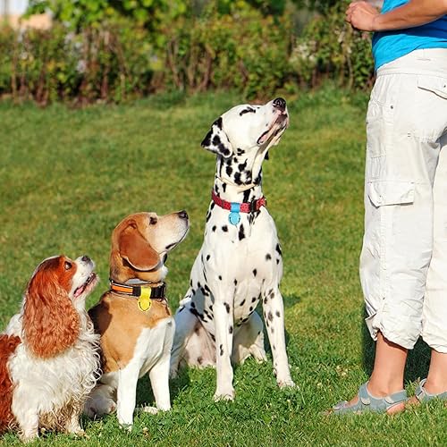 Miniatura 5 de SCENEREAL Campana grande para collar de perro, paquete de 2 campanas para perro, campana antirrobo extra fuerte para entrenamiento, senderismo,