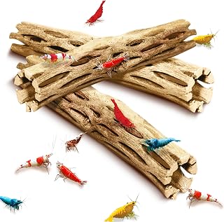 SunGrow Cholla Wood 6in Climbing Logs for Shrimp, Fish, Snails - Natural Aquarium Driftwood Chew Toy 3 Pack