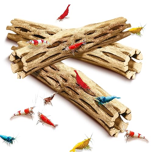 SunGrow Cholla Wood, 6” Climbing Logs, Chew Toy, Aquarium Fish,