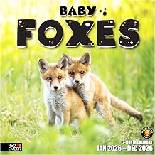 RED EMBER Baby Foxes 2026 Wall Calendar 12 Month | 12 x 24 Open | Thick & Sturdy Paper | Giftable | Kids Cute Baby Animals Calendar 2026