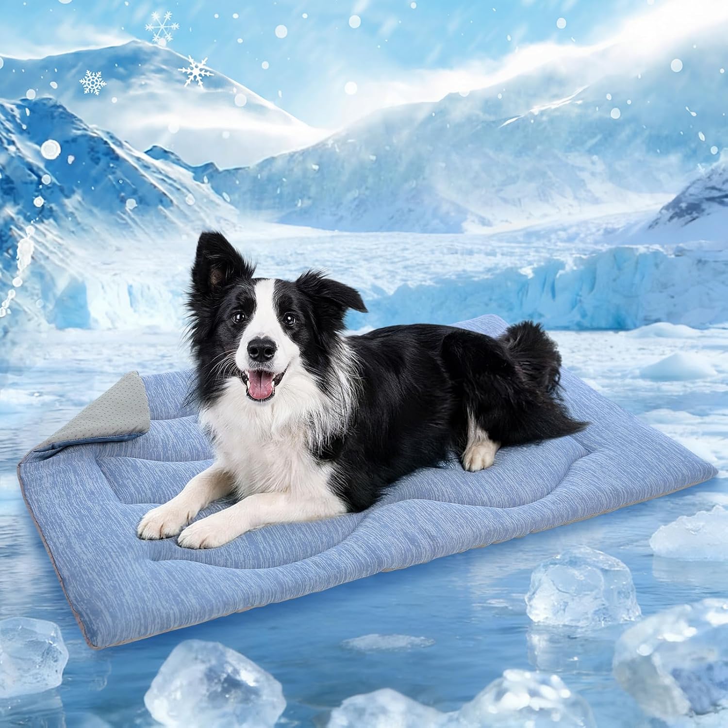 Queenmore Cooling Dog Mat for Dogs, Washable Dog Cooling Mat Indoor Outdoor, Non-Slip Portable Kennel Puppy Bed for Summer, Keep Your Pet Cool (Blue Wave, Large(35" x 27"))