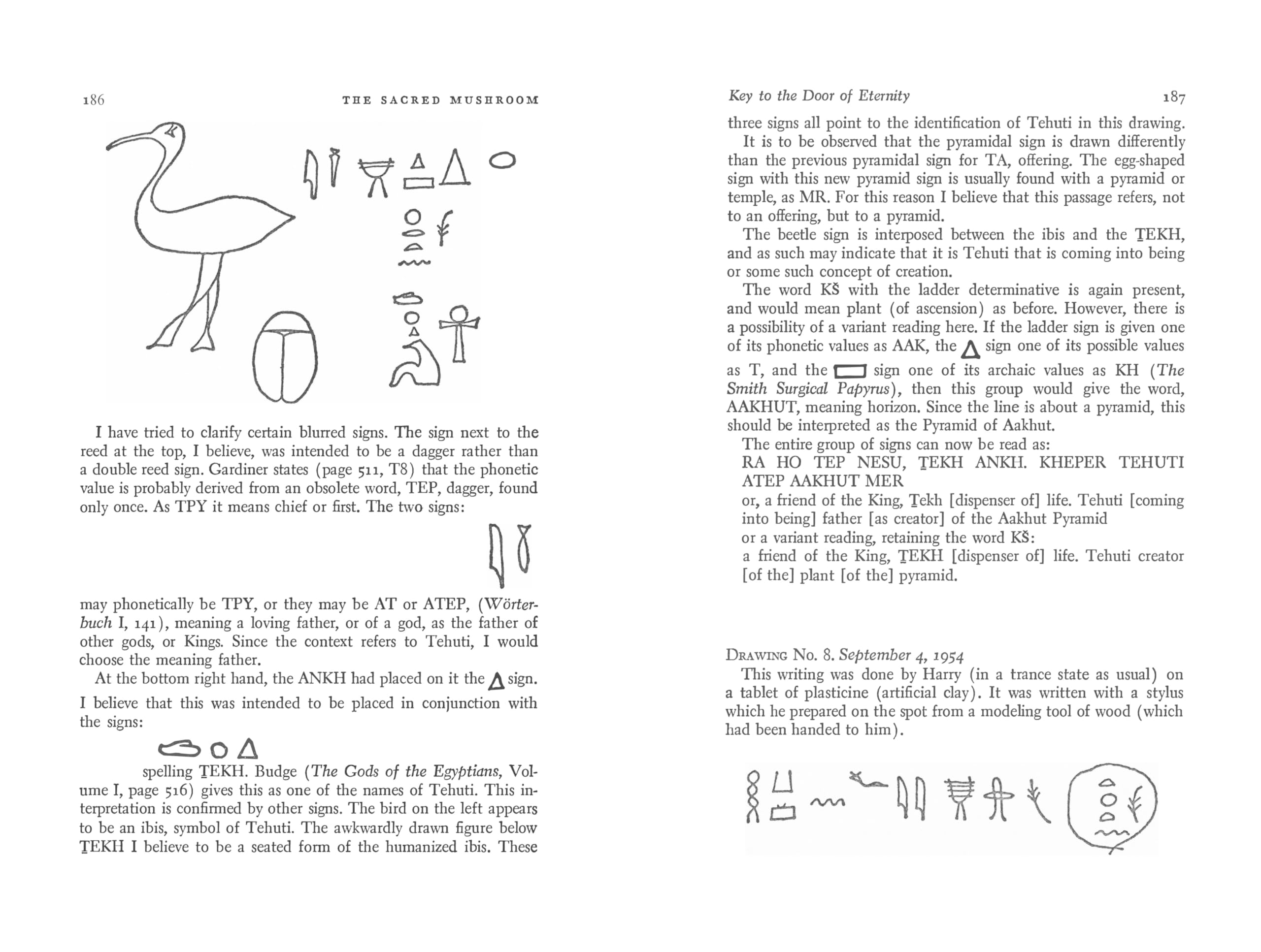 The Sacred Mushroom: Key to the Door of Eternity