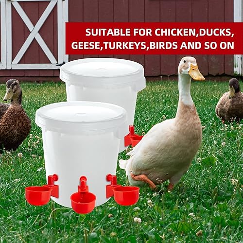 Miniatura 4 de Bebederos para gallinas - Bebederos para gallinas con control de válvula para cubeta de 5 galones. Bebederos para gallinas. Tazas higiénicas de agua