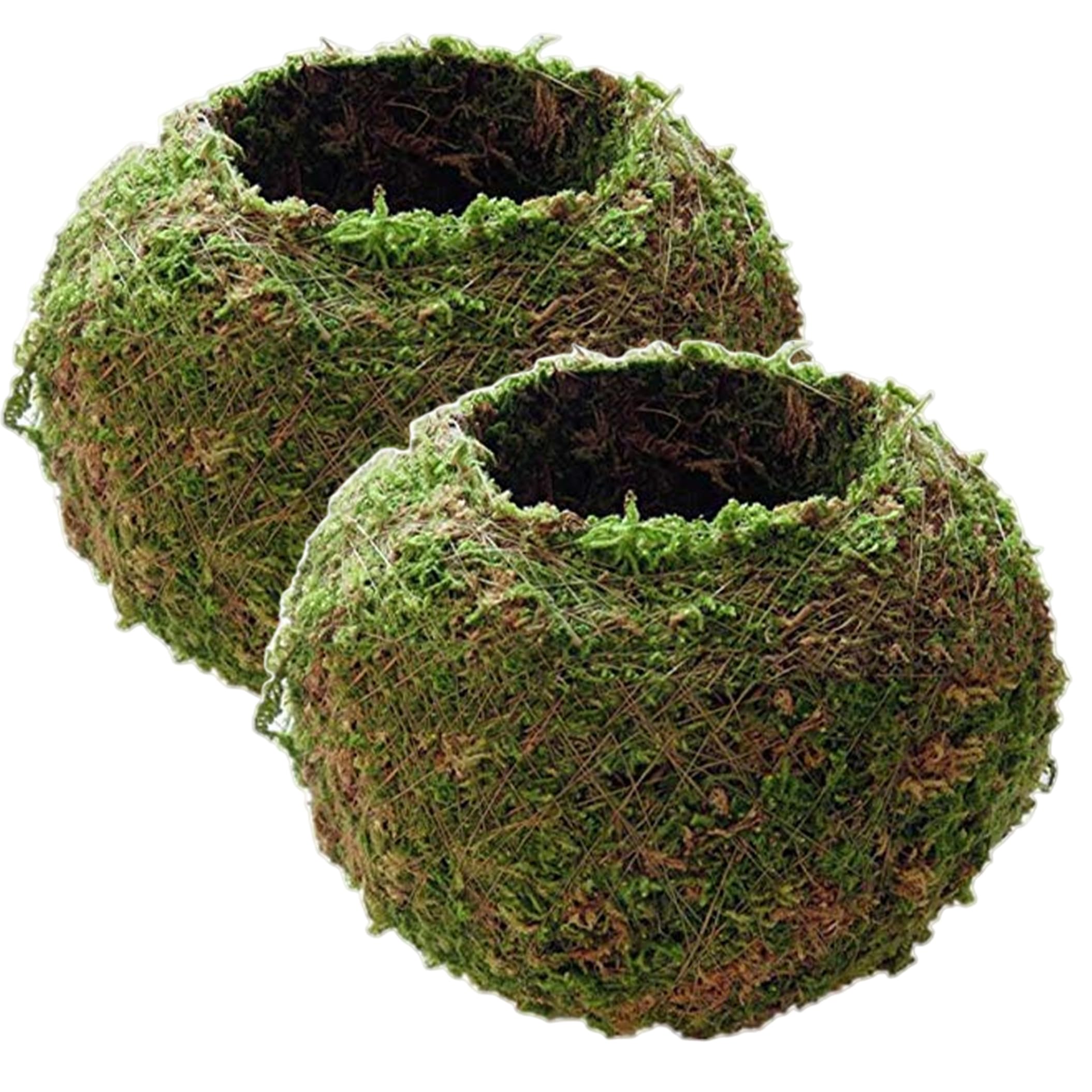 Neptuiby Moss Ball Planter, 4.7＆2.7 inch Moss Ball Planter, Natural Japanese Style Flower Pot for Epiphytic Plants.