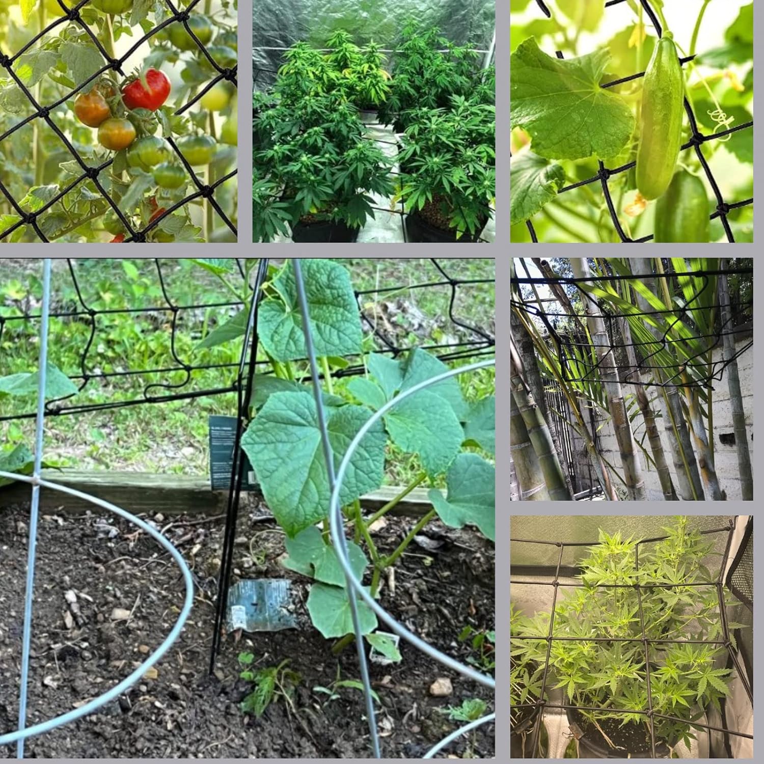 GROWNEER Scrog Net, 3x3 Ft Trellis Netting for 3x3 or 4x4, or 5x5 Ft Grow Tents, Garden Netting Trellis with 4 Steel Hooks, Grow Tent Net With 36 Growing Spaces For Climbing Plants Indoors or Outdoors