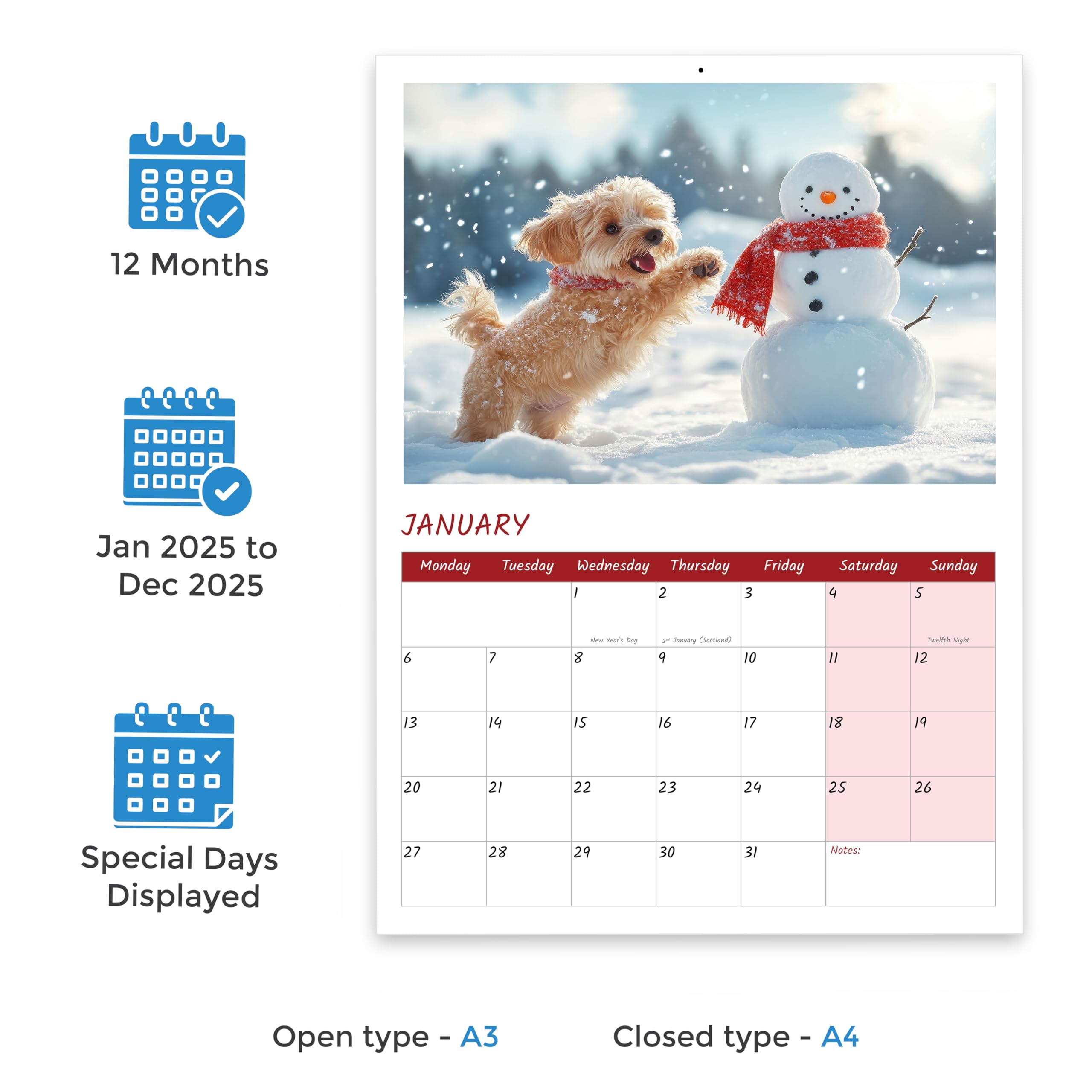 A4 Crazy Canines Wall Calendar 2026 UK 12 Months 2026 Calendar Month to View Funny Dog Calendar 2026 Papa Prints - Image 2