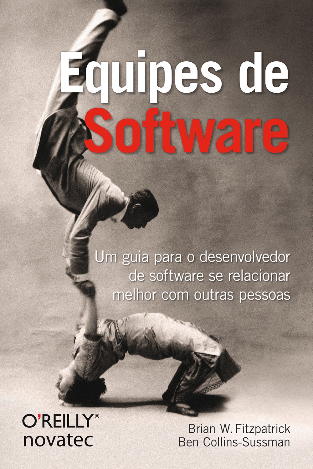 Equipes de Software