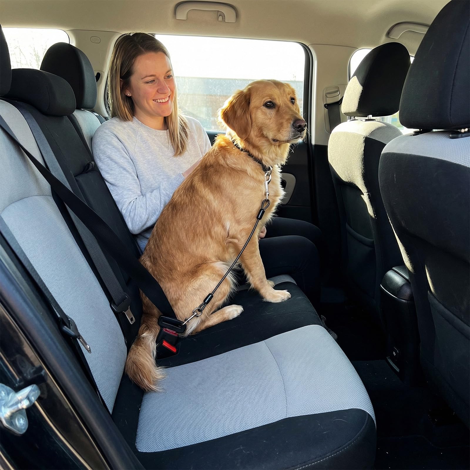 Cinturón de Seguridad para Perro y Coche, Homologado, Resistente a Mordeduras, de Alambre de Acero, Ideal para Todos los Perros, Compatible con Vehículos Variados — view 2