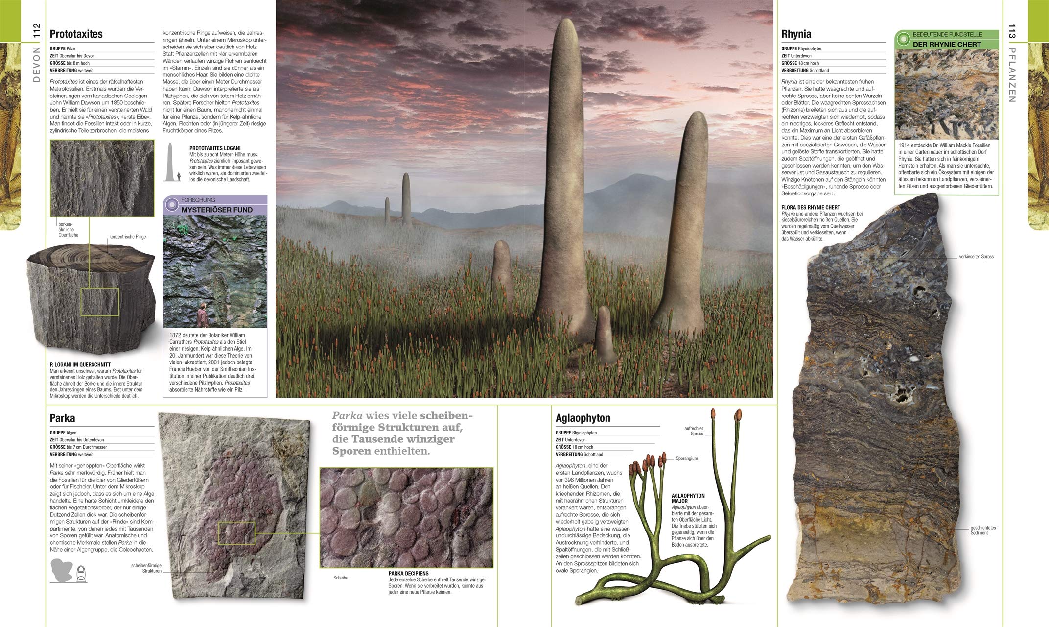 Dinosaurier und andere Lebewesen der Urzeit: Die große Bild-Enzyklopädie mit über 2200 Farbfotografien und 3D-Grafiken
