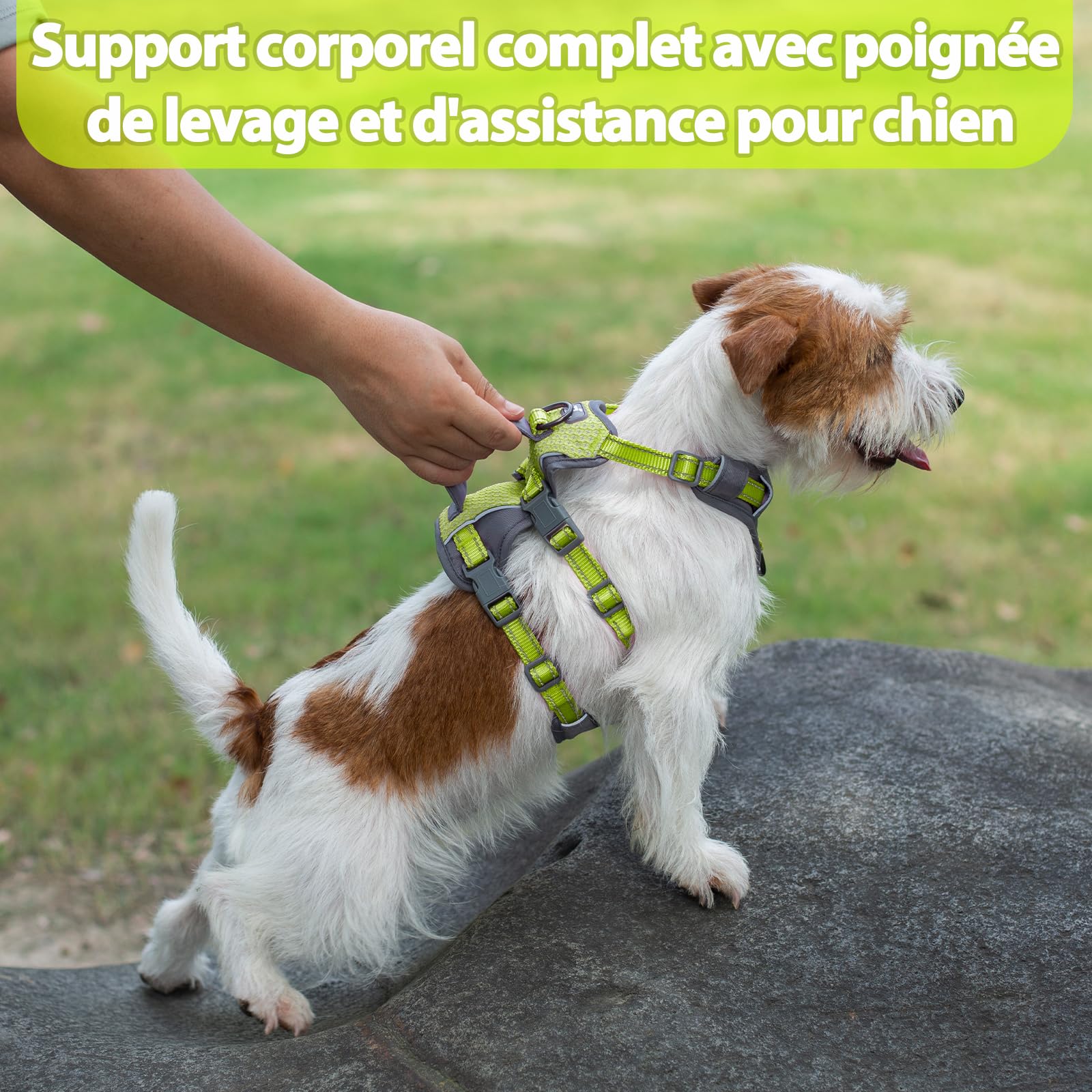 Huntboo Harnais Chien Petite Taille, Réfléchissant Harnais Anti Fugue Chien, Harnais Chien Anti Traction avec Poignée, Respirant, Harnais Réglable pour Chiens Moyens et Grands (Vert Vif,S)
