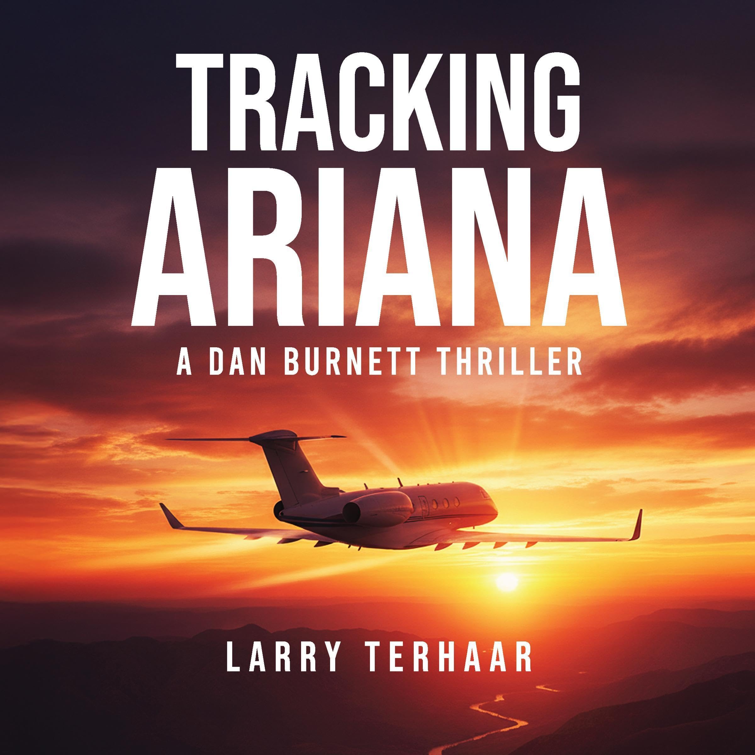 Tracking Ariana (A Dan Burnett Private Detective Mystery/Thiller Book 4) book cover